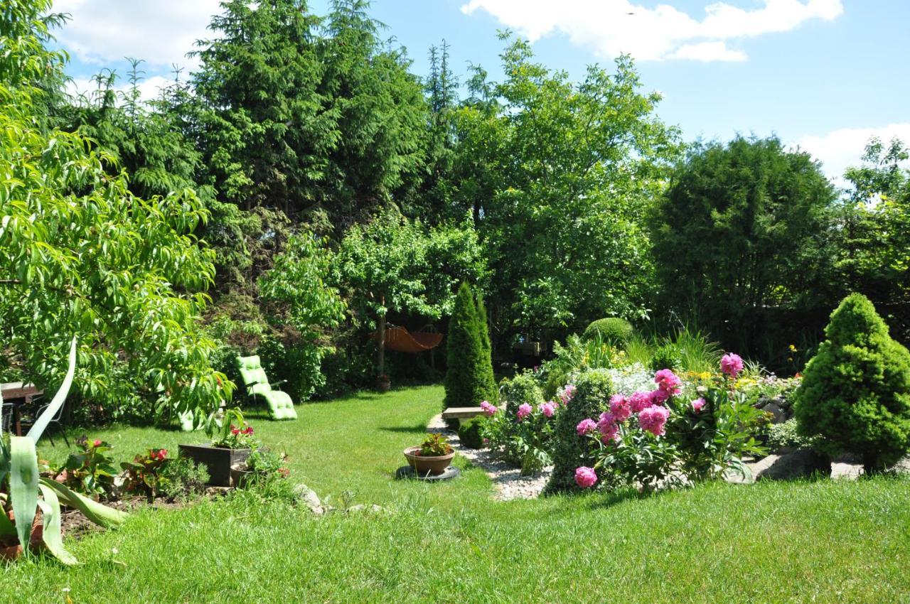 Apartamento Oaza U Tadeusza Augustów Exterior foto